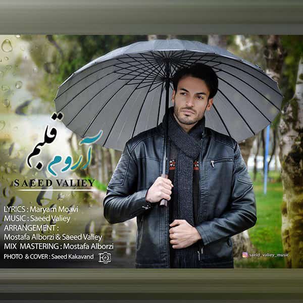 دانلود آهنگ کردی سعید ولیئ به نام آروم قلبم