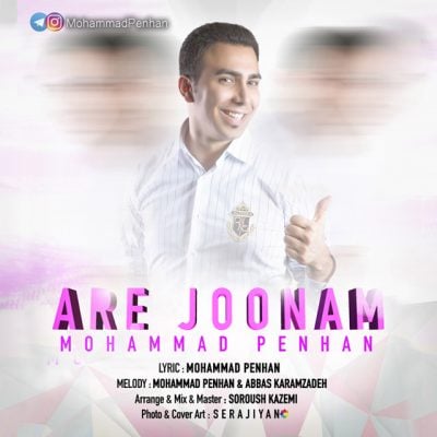 دانلود آهنگ بندری محمد پنهان به نام آره جونم