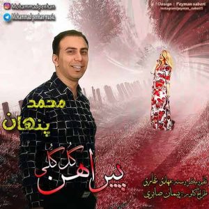 دانلود آهنگ بندری محمد پنهان به نام پیراهن گل گلی