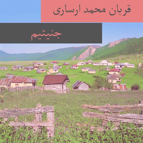دانلود آهنگ ترکمنی قربان محمد ارساری به نام جنیتیم