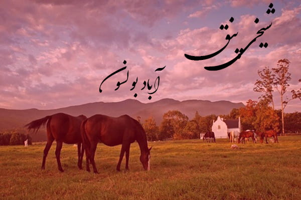 دانلود آهنگ ترکمنی شیخی پنق به نام آباد بولسون