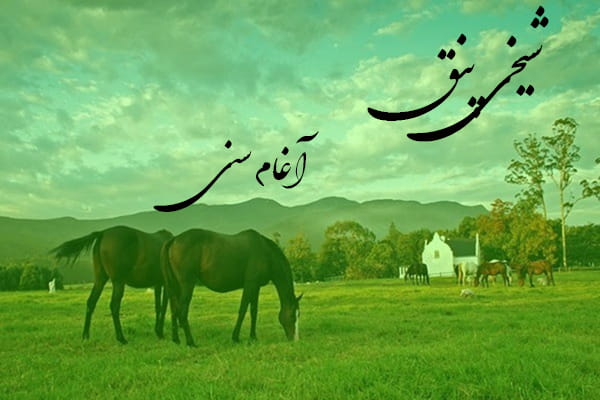دانلود آهنگ ترکمنی شیخی پنق به نام آغام سنی