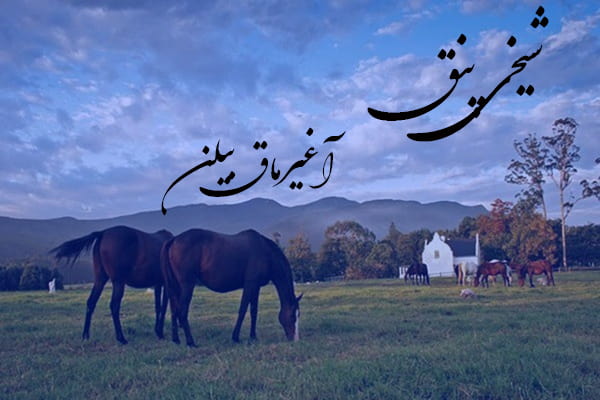 دانلود آهنگ ترکمنی شیخی پنق به نام آغیرماق بیلن