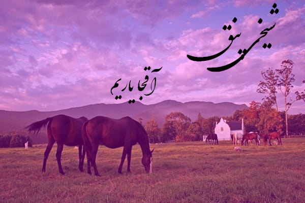 دانلود آهنگ ترکمنی شیخی پنق به نام آقجا یاریم