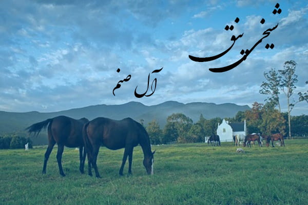 دانلود آهنگ ترکمنی شیخی پنق به نام آل صنم