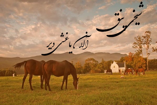 دانلود آهنگ ترکمنی شیخی پنق به نام آلان یاغشی دیر