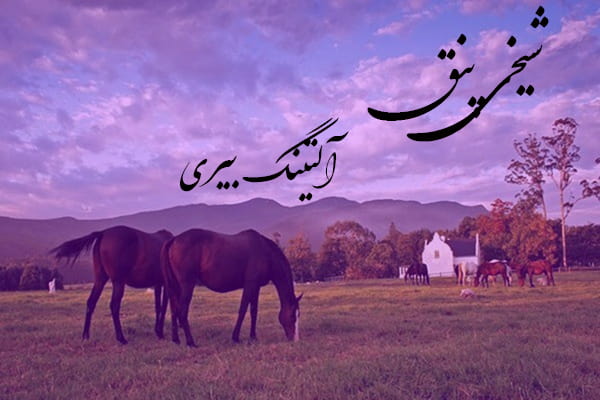 دانلود آهنگ ترکمنی شیخی پنق به نام آلتینگ بیری