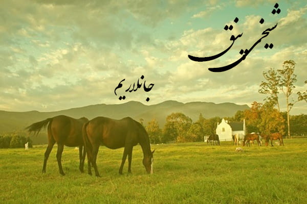 دانلود آهنگ ترکمنی شیخی پنق به نام جانلاریم
