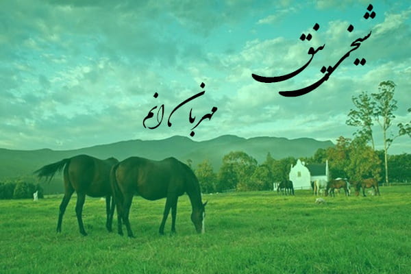 دانلود آهنگ ترکمنی شیخی پنق به نام مهربان انم
