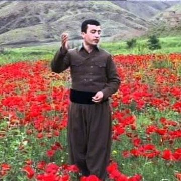 دانلود آهنگ کردی کمال قادری به نام هه لپه رکی