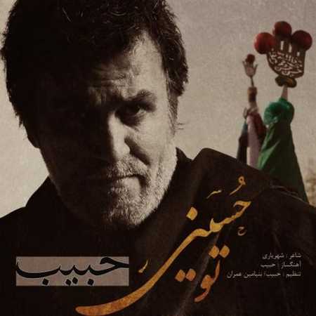 حبیب تو حسینی