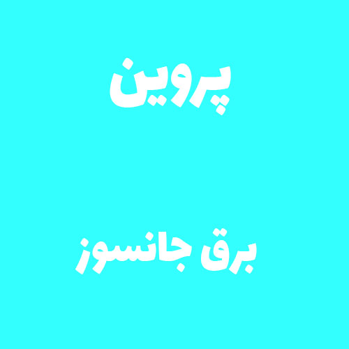 پروین برق جانسوز