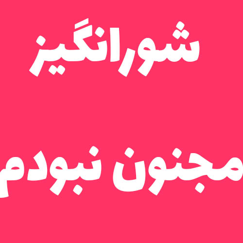شورانگیز مجنون نبودم