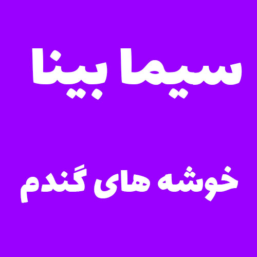 سیما بینا خوشه های گندم