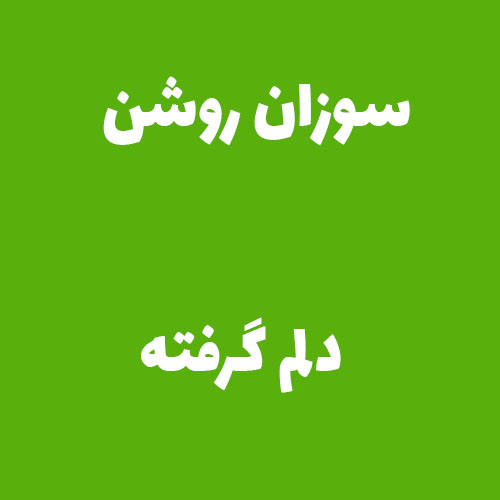 سوزان روشن دلم گرفته