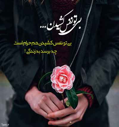 ژاکلین  گل کاغذی