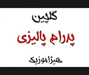 دانلود گلچین آهنگهای پدرام پالیزی