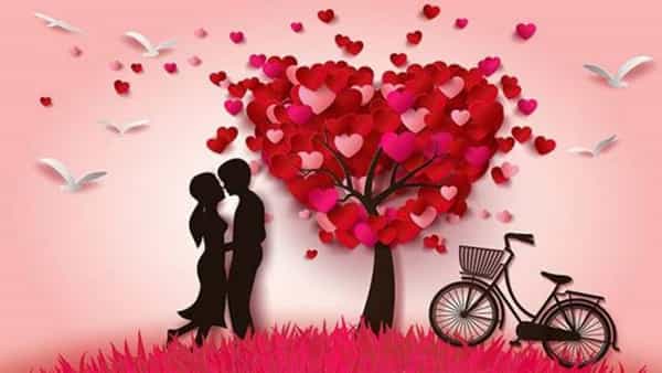 شاهرخ  عروسی 