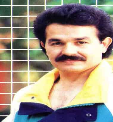 فرخ سکه بهاری