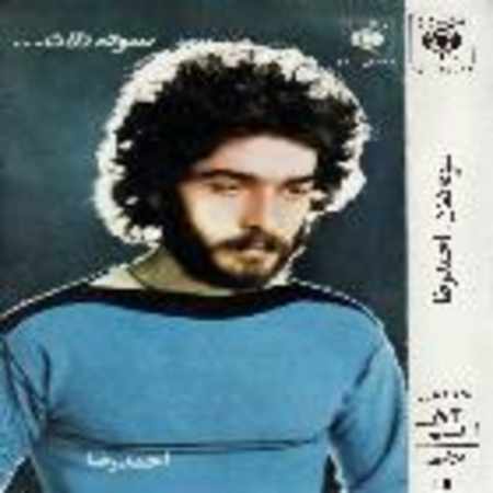احمدرضا نبی زاده سفر کرده