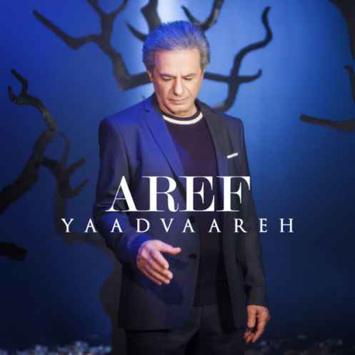 عارف  یادواره