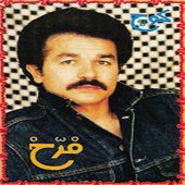 فرخ پرنده