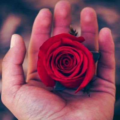 ایرج خواجه امیری گل سرخ