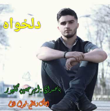 امیرحسین گلپور مازندرانی دلخواه 
