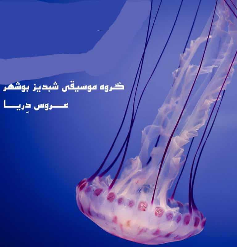 گروه شبدیز بوشهر بندری صدای بهار