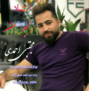مجتبی احمدی مازندرانی دلبر من