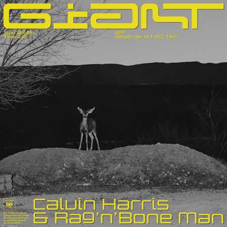 Calvin Harris Giant