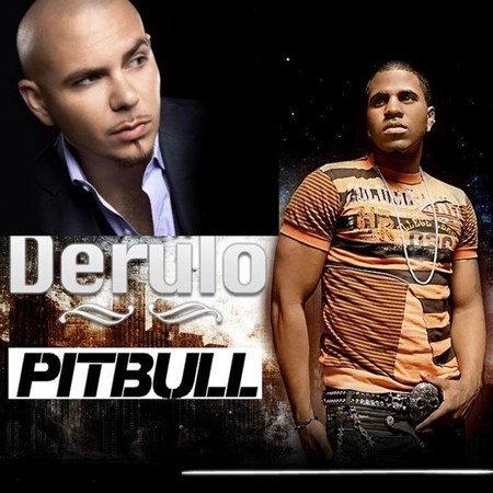 Pitbull Fire