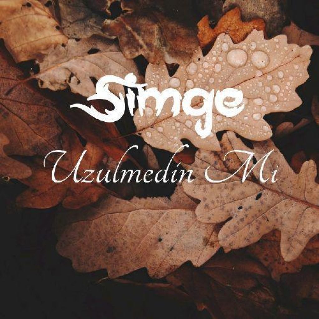 Simge Uzulmedin Mi