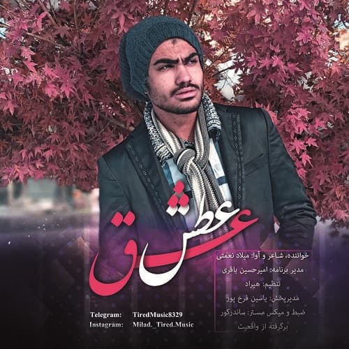 میلاد نعمتی عطش عشق