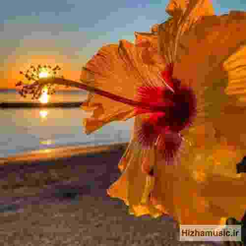  حاجی حله بگم شرمنده ام