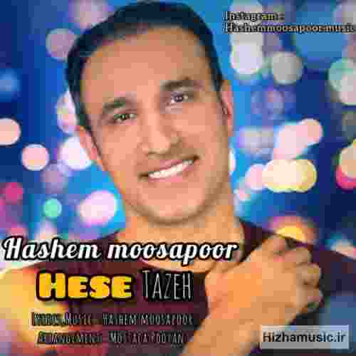 هاشم موسی پور حس تازه