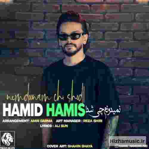 حمید هامیس نمیدونم چیشد