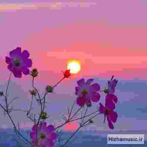 مرتضی باب خوابم نمیگیره