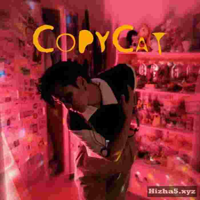 CityNoise Copy Cat