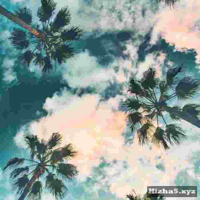 تتلو و ۰۲۱g گرگ ۳