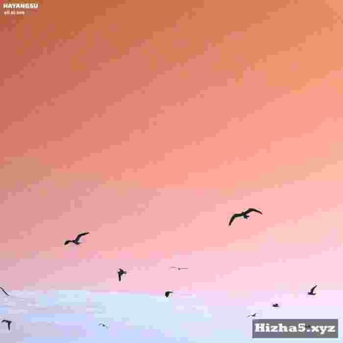 Ha Yang Su All at Sea