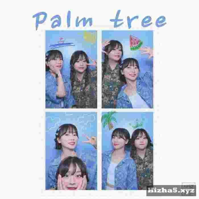 SBGB Palm Tree