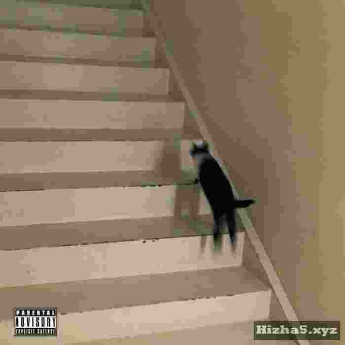 Colde Cat