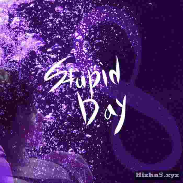 BUDY Stupid day