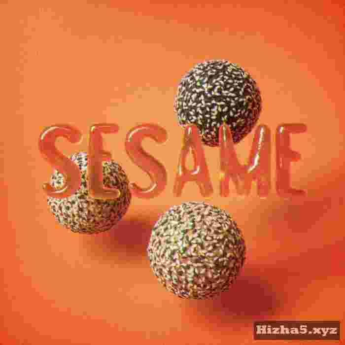 Llwyd SESAME