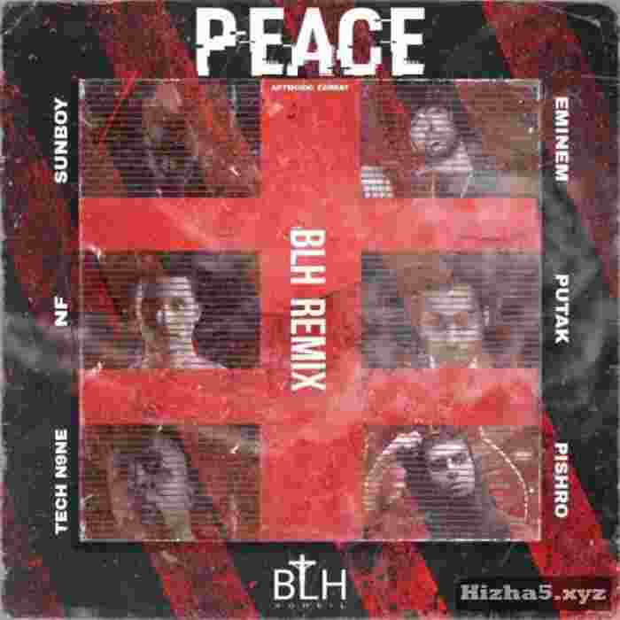 NF و رضا پیشرو و امینم و پوتک و سانبوی Peace