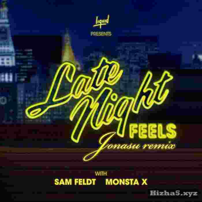 Sam Feldt Late Night Feels