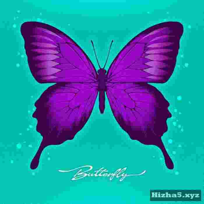 Park Ki Young Butterfly