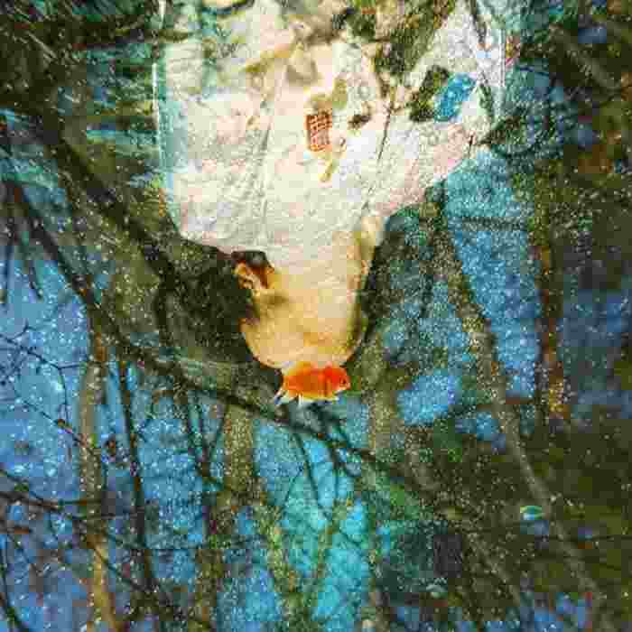 Lim Haeum Splash