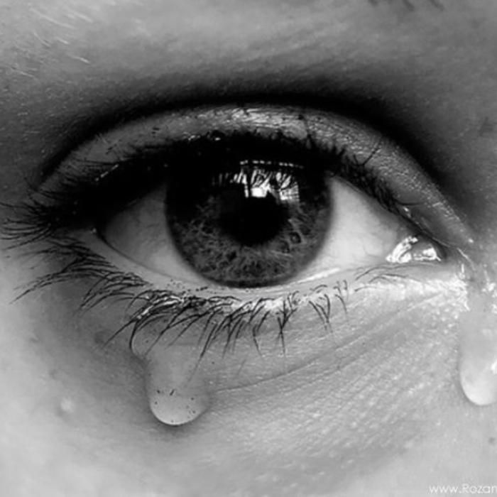 دانلود آهنگ گلای سبز